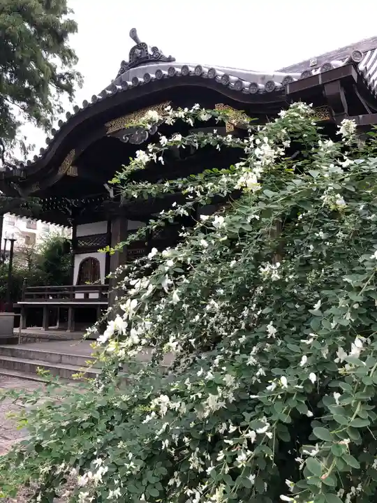 總持寺の自然