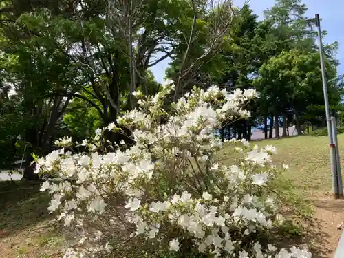 澄丘神社の自然