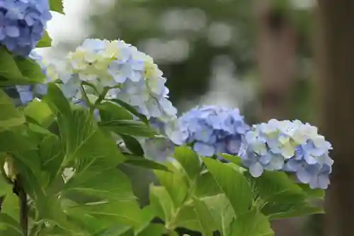 熊野福藏神社の庭園