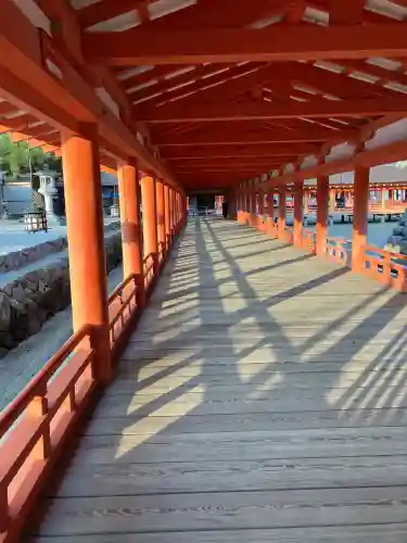 厳島神社の{uncategorized: "未分類", other: "その他", undefined: "問題あり", building: "その他建物", grave: "お墓", sacred_gate: "鳥居", guardian: "狛犬", statue: "像", buddha: "仏像", history: "歴史", nature: "自然", garden: "庭園", animal: "動物", pagoda: "塔", temizu: "手水舎", mountain_gate: "山門・神門", sanctuary: "本殿・本堂", subordinate: "末社・摂社", art: "芸術", scenery: "景色", jizo: "地蔵", ema: "絵馬", goshuin: "御朱印", omikuji: "おみくじ", items: "授与品その他", amulet: "お守り", goshuincho: "御朱印帳", eats: "食事", festival: "お祭り", votive_dance: "神楽", shichigosan: "七五三参", wedding: "結婚式", experience: "体験その他", initially: "初詣", around: "周辺", anti_infection: "感染症対策"}