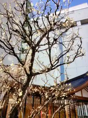 成子天神社(東京都)