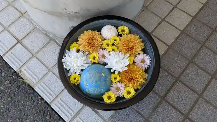 真隆寺の手水舎