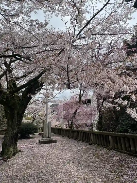 宇都宮二荒山神社の{uncategorized: "未分類", other: "その他", undefined: "問題あり", building: "その他建物", grave: "お墓", sacred_gate: "鳥居", guardian: "狛犬", statue: "像", buddha: "仏像", history: "歴史", nature: "自然", garden: "庭園", animal: "動物", pagoda: "塔", temizu: "手水舎", mountain_gate: "山門・神門", sanctuary: "本殿・本堂", subordinate: "末社・摂社", art: "芸術", scenery: "景色", jizo: "地蔵", ema: "絵馬", goshuin: "御朱印", omikuji: "おみくじ", items: "授与品その他", amulet: "お守り", goshuincho: "御朱印帳", eats: "食事", festival: "お祭り", votive_dance: "神楽", shichigosan: "七五三参", wedding: "結婚式", experience: "体験その他", initially: "初詣", around: "周辺", anti_infection: "感染症対策"}