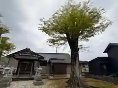 熊野神社(兵庫県)