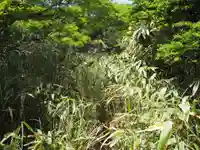 冠ヶ岳の社の周辺