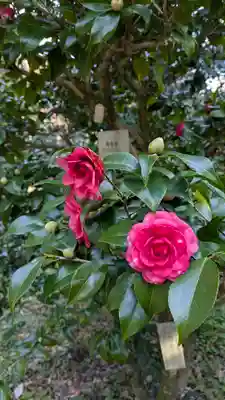 半木神社（賀茂別雷神社境外末社）(京都府)