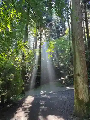 上色見熊野座神社(熊本県)