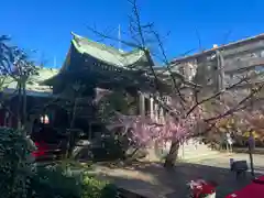 桜神宮(東京都)