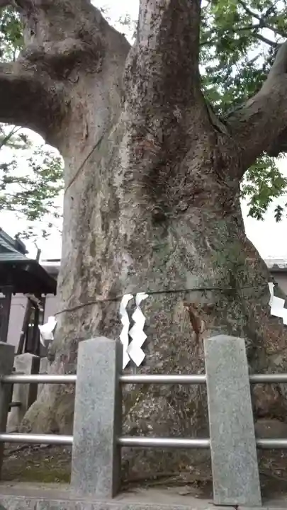 阿邪訶根神社のその他建物