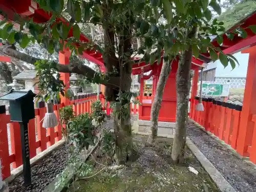 賀茂神社(滋賀県)