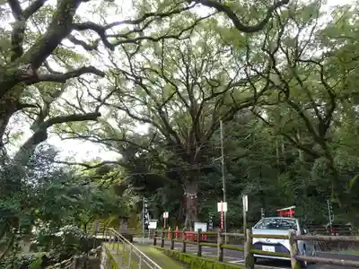 蛭児神社(鹿児島県)