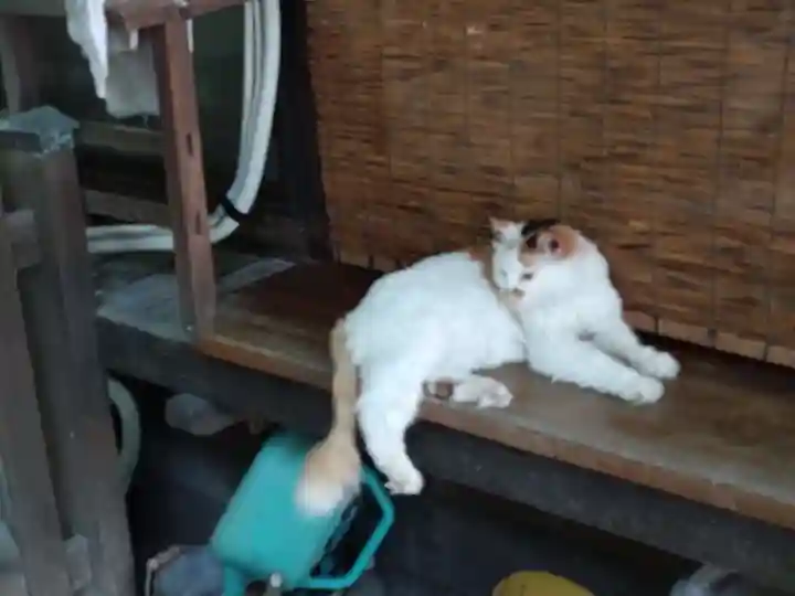 阿邪訶根神社(福島県)