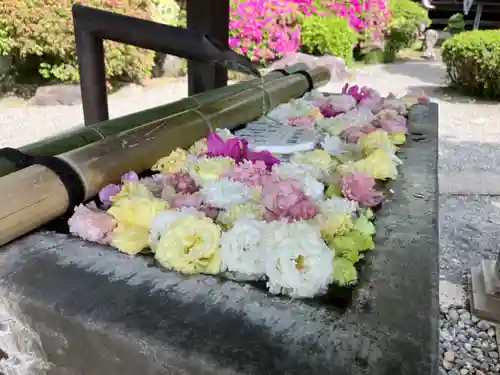 等覚院(神奈川県)