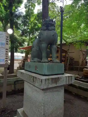 平塚八幡宮の狛犬