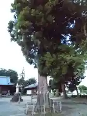 守公神社(愛知県)