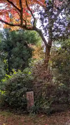 常照寺(京都府)