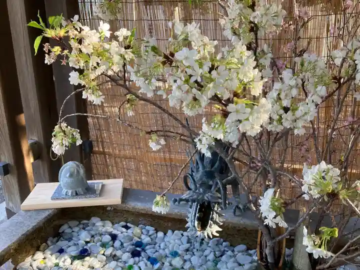 札幌諏訪神社の手水舎