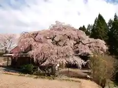 西光寺(奈良県)