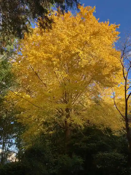 感応院(神奈川県)