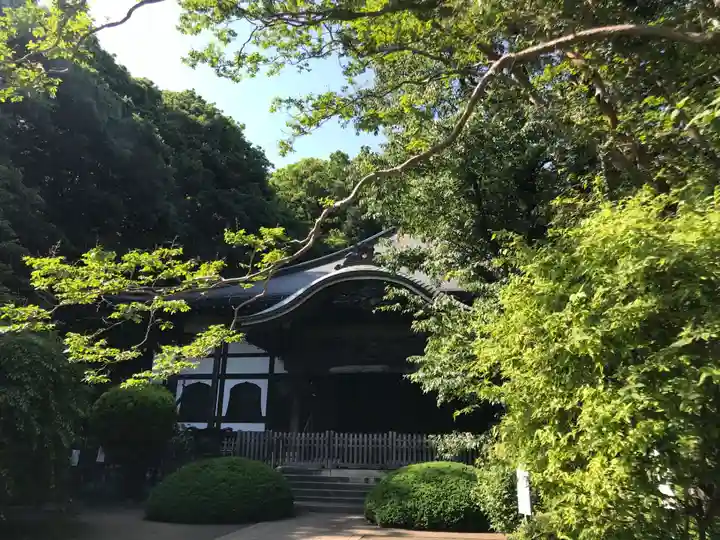 武蔵国分寺の本殿・本堂