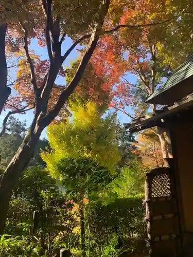 楠妣庵観音寺(大阪府)