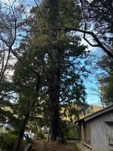 平等寺奥の院　月夜御水大師(徳島県)