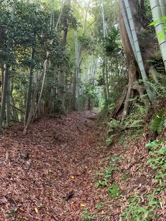 蔵王神社の周辺
