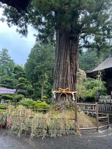 北口本宮冨士浅間神社(山梨県)