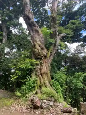琴平神社(千葉県)