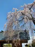 開成山大神宮の自然