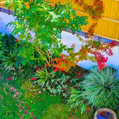 寿量山　速成寺(奈良県)