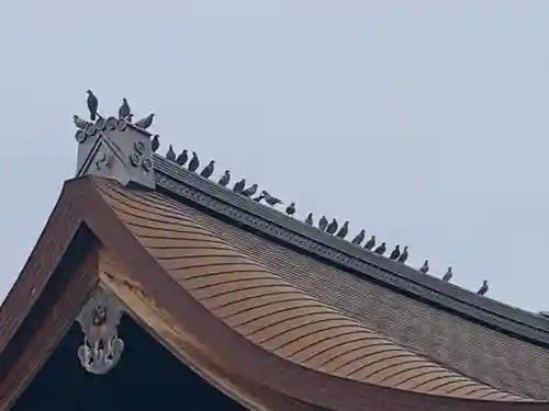 城南宮(京都府)