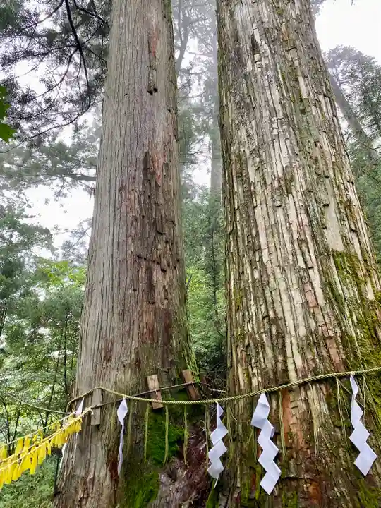 日光二荒山神社(栃木県)