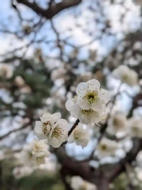 西照寺(東京都)