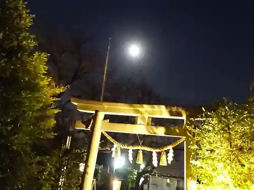 星川杉山神社の鳥居