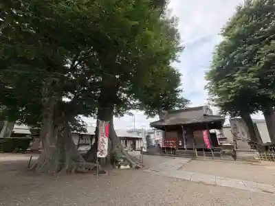 八枝神社(埼玉県)