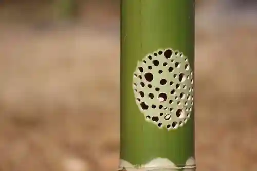 国宝 大法寺のその他建物