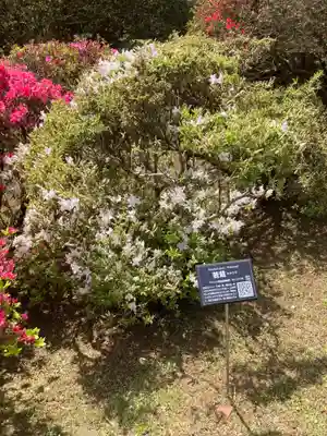 箱根神社(神奈川県)
