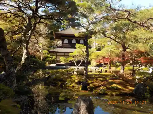 慈照寺（慈照禅寺・銀閣寺）の庭園