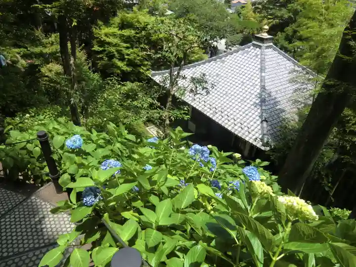 長谷寺(神奈川県)