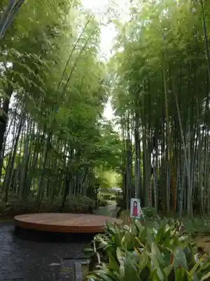 日枝神社の周辺