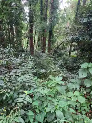 八幡神社の周辺