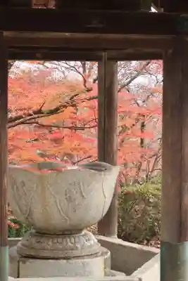 西教寺のその他建物