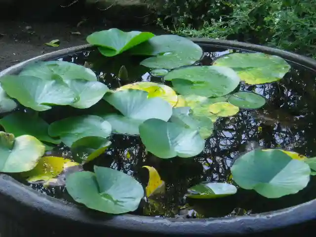 宝戒寺のその他建物