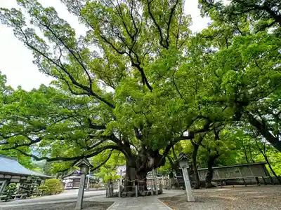 大麻比古神社(徳島県)