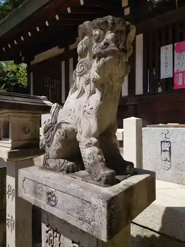 挙母神社の狛犬