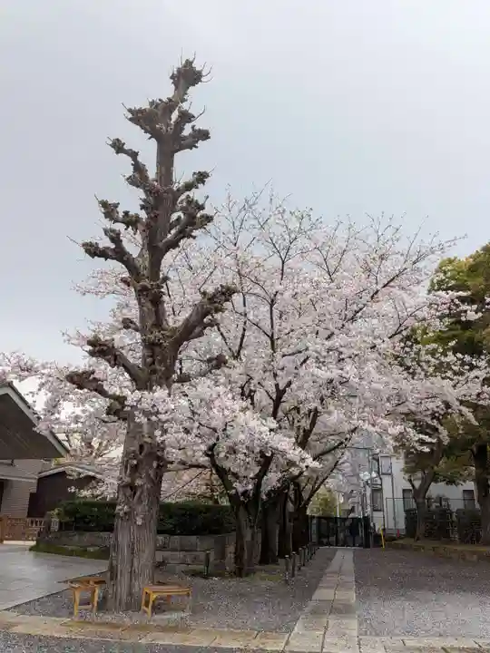 宝仙寺(東京都)