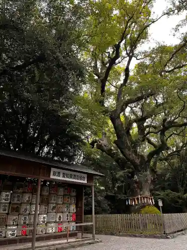 熱田神宮(愛知県)