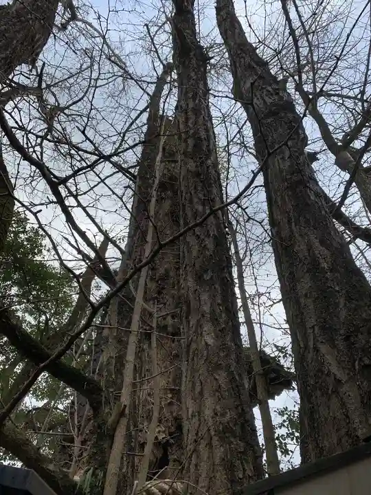 高塚愛宕地蔵尊(大分県)