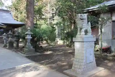 五所神社の狛犬